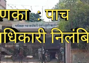 जिल्हाधिकाऱ्यांचा दणका : पाच अधिकारी- कर्मचाऱ्यांवर संक्रांत
