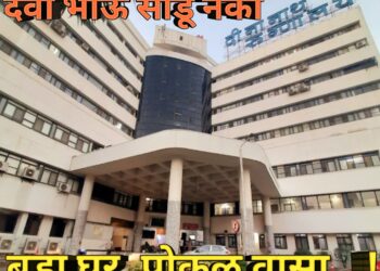 दीनानाथ मंगेशकर रुग्णालय -बडा घर, पोकळ वासा…!