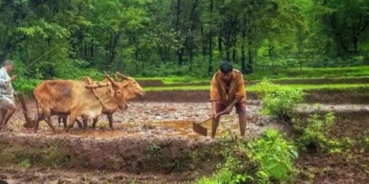 जमीनीवर अतिक्रमण करून अन्याय केला – उमापूर येथील महिलेची तक्रार