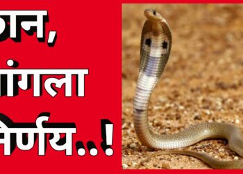 चांगला निर्णय, चांगली गोष्ट…!