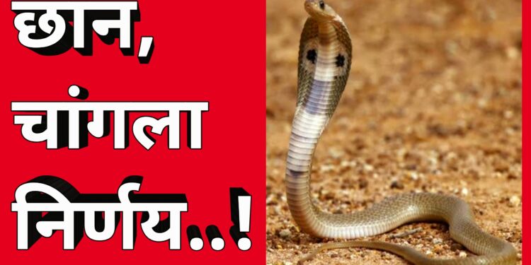 चांगला निर्णय, चांगली गोष्ट…!