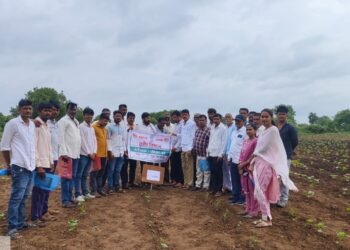 शेती शाळेत शेती – मातीचे मार्गदर्शन